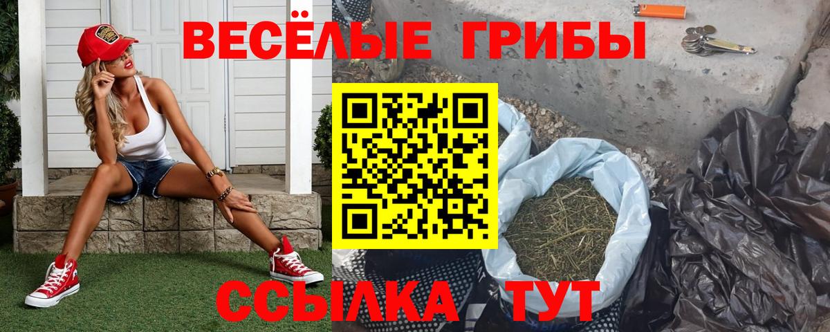 Псилоцибиновые грибы мицелий  Галлюциногенные грибы ЛСД  Вход с VPN  Долгопрудный 